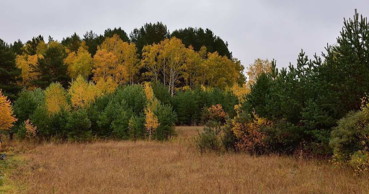 Осінь