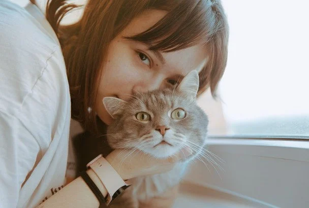 Шість порід котів, які чудово ладнають із дітьми: найлагідніші улюбленці