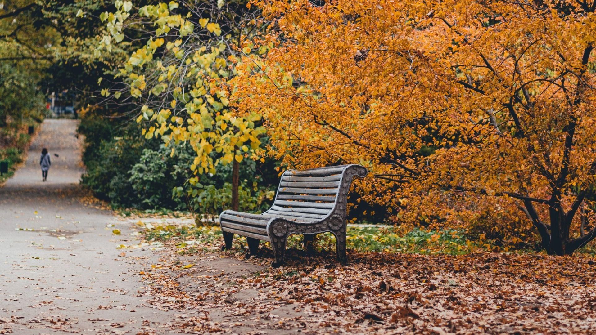 Погода, Дощі в Україні